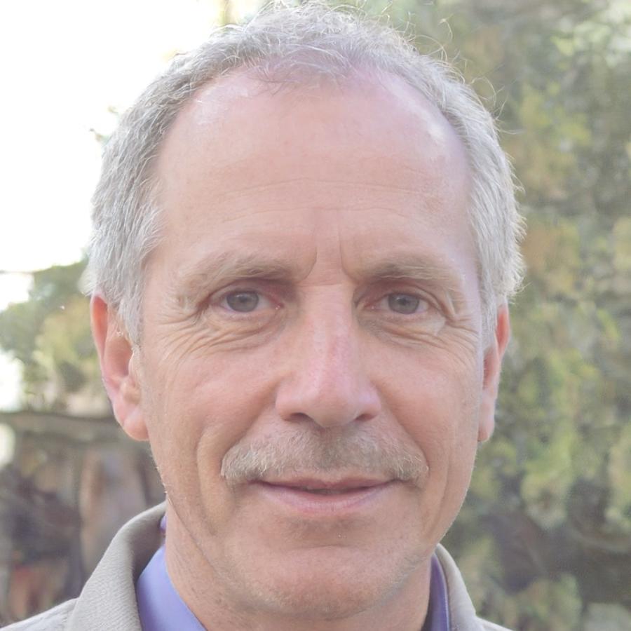 Eduardo Mendoza, Analista Financiero Senior
